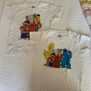 Kaws Shirts 3y